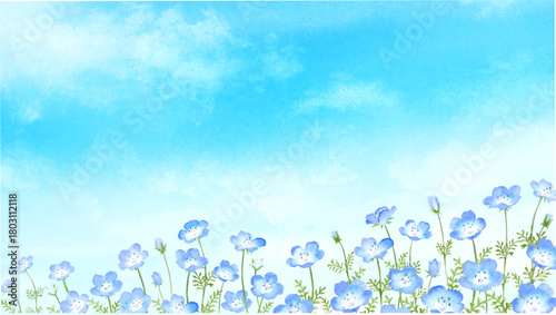 青空にネモフィラ畑の風景の水彩画