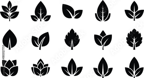 Collection of fifteen black leaf icons on a white background leaves plant