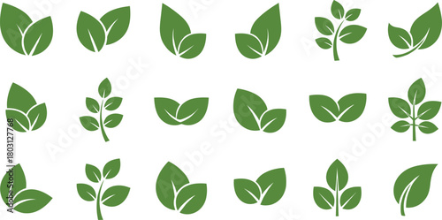 Collection of Green Leaf Icons and Branch Illustrations leaves nature