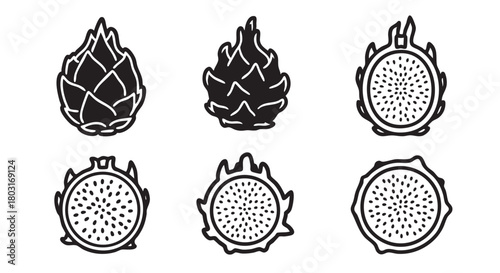 Black and white dragon fruit vector illustration minimalist style design