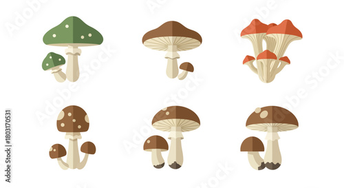 Collection of Six Different Types of Stylized Mushrooms.