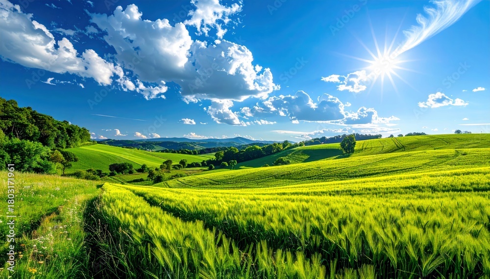 Fototapeta premium A picturesque landscape of lush green rolling hills, a field of tall grass, and a bright sun in a blue sky with clouds.