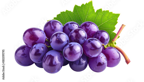 A close-up studio shot showcases a cluster of plump, purple fruit with a single green leaf and stem against a black backdrop