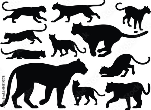 Black cat silhouette collection, feline poses, walking, running, crouching, stalking, graceful motion, animal shape, vector, isolated, design element