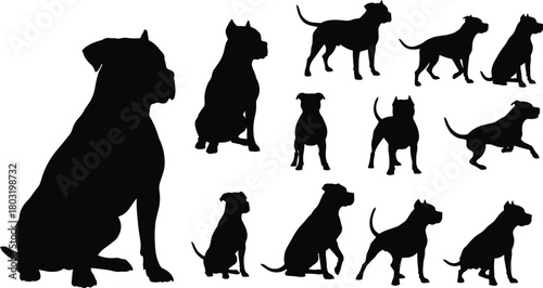 Dog silhouette set, black vector illustration, sitting and walking poses, muscular breed shapes, pet animal design, canine posture collection