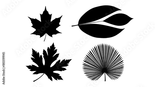 Vector illustration of collection of four black silhouette leaf shapes on a transparent background