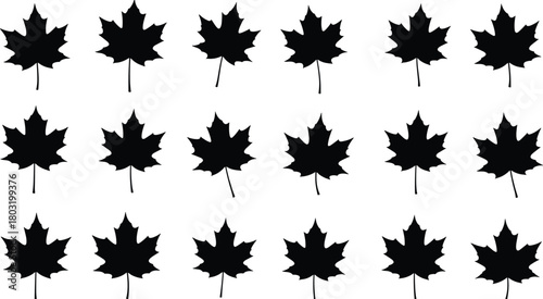 Maple leaf silhouette grid, black vector illustration, symmetrical foliage pattern, seasonal design element, nature shape repetition, botanical layout concept