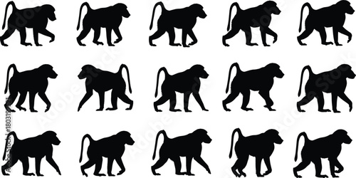 Monkey silhouette grid, black vector illustration, walking monkey pattern, identical animal shapes, nature design element, wildlife posture repetition concept