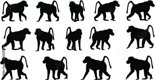 Monkey walking silhouette set, black vector illustration, gait cycle breakdown, animal motion sequence, nature design element, biomechanics concept