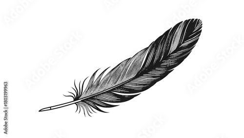 Vector illustration of detailed black and white illustration of a single feather isolated on transparent background 