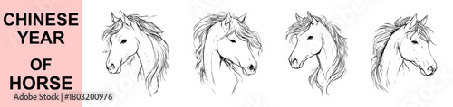 Hand-drawn horse head sketch vector design with flowing mane, soft linework, elegant details, representing Chinese Year of the Horse for zodiac projects, artistic prints, and decorative themes