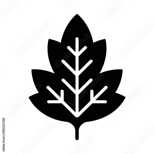 serrated leaf with veins plant glyph icon