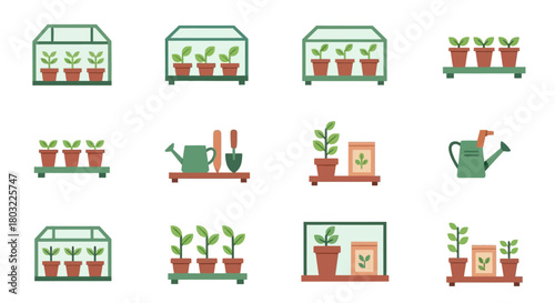 Collection of various potted plants and gardening tools for indoor and outdoor cultivation.