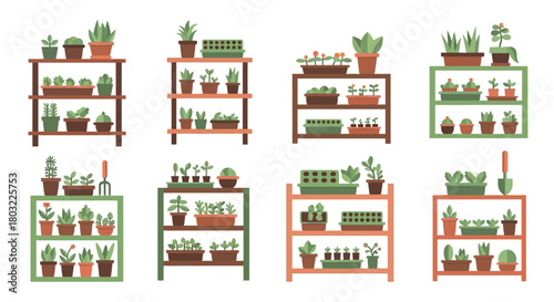 Collection of various potted plants and seedlings on shelves, perfect for home gardening.