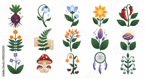 Colorful floral illustrations of various plants and flowers in artistic style.