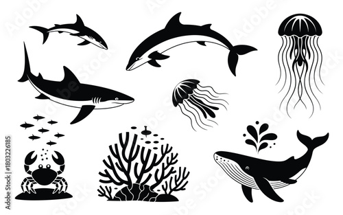 Marine life silhouettes including sharks dolphins jellyfish whale crab coral vector