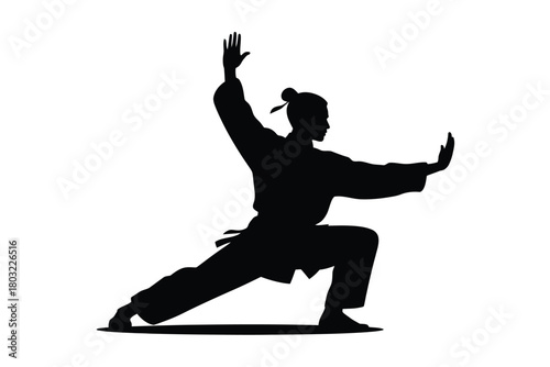 Martial artist silhouette performing dynamic movement black white