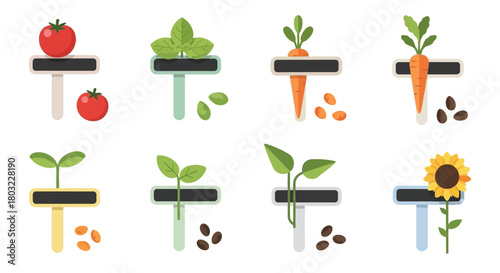 Hydroponic plants and seeds in test tubes for scientific research.