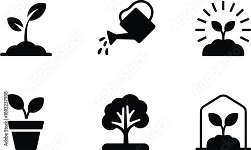 Six black and white icons representing plant growth and cultivation stages seedling sprout