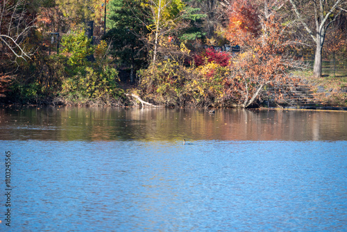 Fall Leaves over Pond
