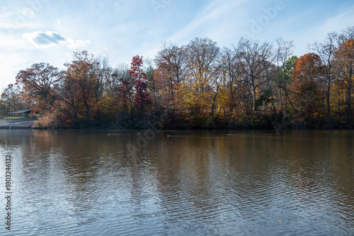 Fall Leaves over Pond
