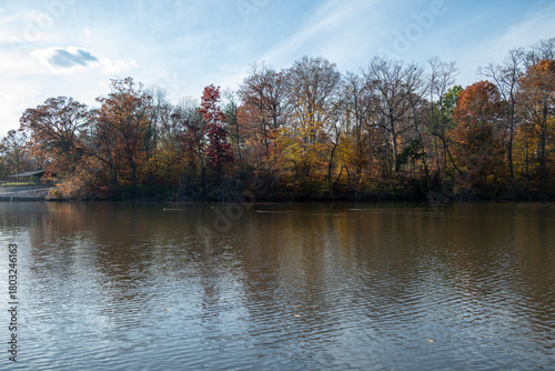 Fall Leaves over Pond