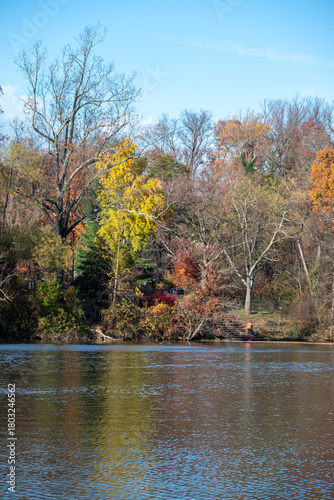 Fall Leaves over Pond