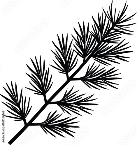 Pine branch silhouette Black silhouette pine branch detailed needles