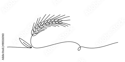 Continuous line drawing of a ripe wheat ear with a stylized stem and leaf, symbolizing harvest, agriculture, and organic food growth.