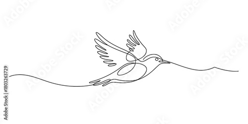 Minimalist continuous line art drawing of a soaring bird with spread wings, representing freedom, grace, and fluidity in motion, on a clean background.