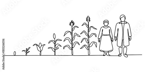 Continuous line art illustration of corn plant growth stages from seed to mature crop, with male and female farmers standing nearby.