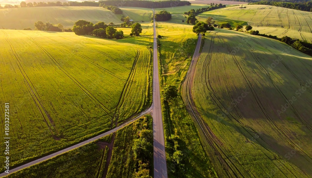 Fototapeta premium Aerial view of intersecting roads through green fields during the golden hour