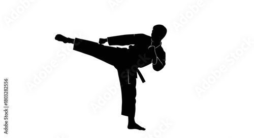 lack silhouette of martial artist performing high kick,
