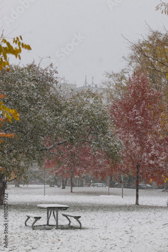 Photography First snow in Toronto