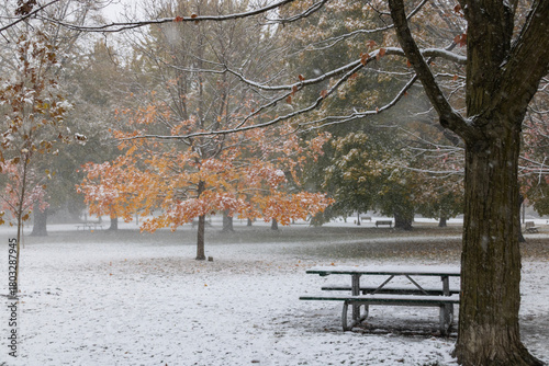 First snow in Toronto