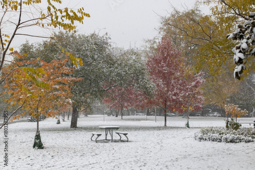 First snow in Toronto