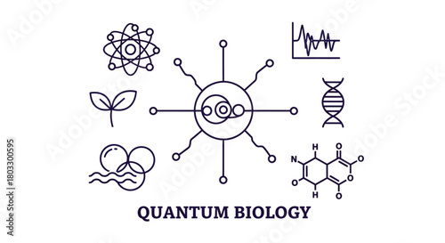 Quantum biology concepts: DNA, atom, molecule, growth, graph