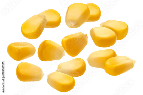 Canvastavla bright yellow sweet corn kernels scattered and isolated on a deep transparent background, highlighting glossy surface texture and freshness