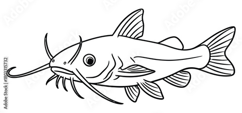 Catfish Line Art Illustration Simple Black and White Outline Drawing of a Freshwater Fish for Coloring Book or Logo Design
