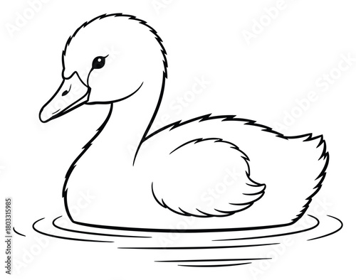 Cute Duckling Swimming on Water Surface Black and White Outline Drawing for Coloring Pages
