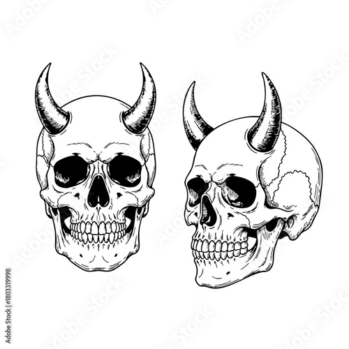 Vector Skull, Line Art Skull, Flat Design Skull, Geometric Skull, Vintage Illustration, Hand-Drawn Style, Adobe Illustrator, Editable Vector, Scalable Graphic, Death, Gothic, Macabre, Mortal, Anatomy,