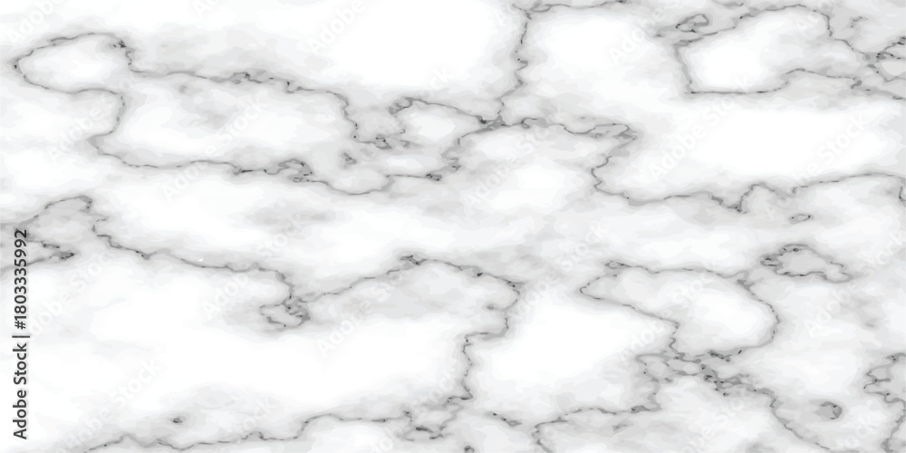 Obraz premium Classic White Marble Texture with Gray Veins background
