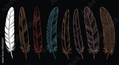 Collection of hand-drawn stylized bird feathers in various earthy and cool tones on a black background.