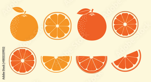 Orange fruit vector illustration set with whole oranges, cross-sections, and various slices on a light background.