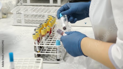 Closeup of lab technician sorting incoming blood sample tubes for clinical testing in laboratory setting indoors.
