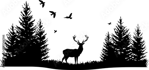 deer in the forest