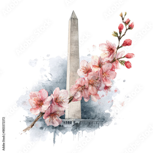 Washington Monument with Cherry Blossoms
