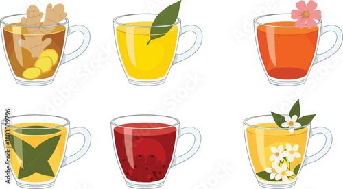 Set of Six Herbal Tea Vector Illustrations in Glass Mugs, Featuring Ginger, Lemon, Berry, Mint, and Flower Infusions for Immunity and Natural Wellness Drinks.
