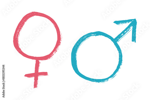 Hand drawn female and male gender identity sign Symbol used to represent sex and gender Single element for print, web, design, decor