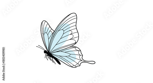 A delicate light blue butterfly with intricate wing patterns is captured in motion.